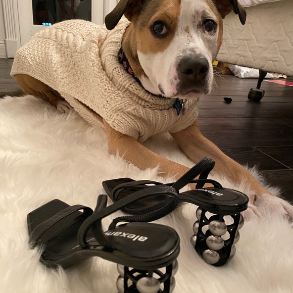 Alexander Wang Heels - Picture 5 of 8